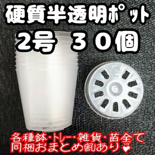 硬質半透明ポリポット 2号 6cm 30個 プラ鉢 多肉植物 プレステラ(プランター)