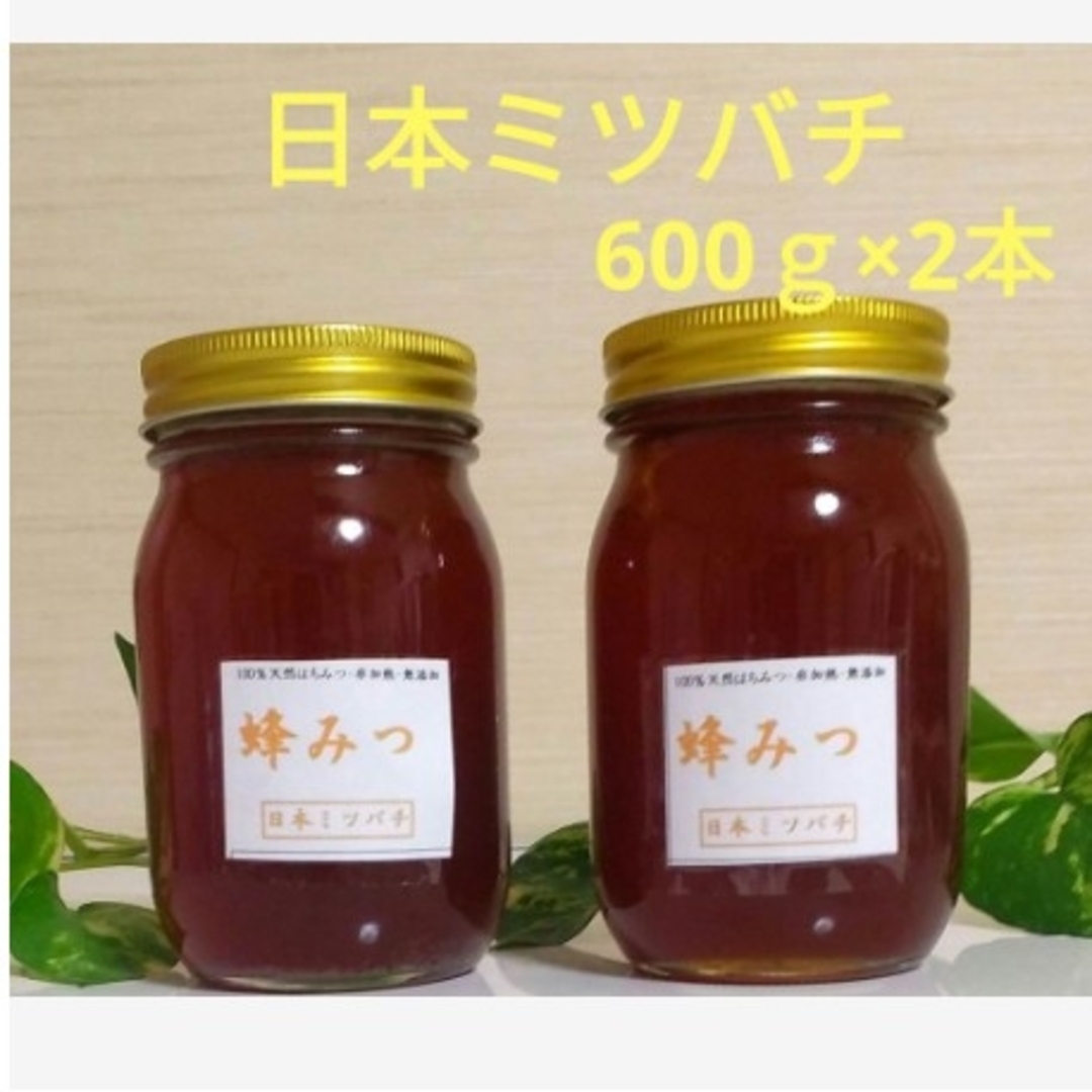 日本ミツバチ 蜂蜜 令和5年  採れたて 600g×4 たれ蜜 非加熱　百花蜜