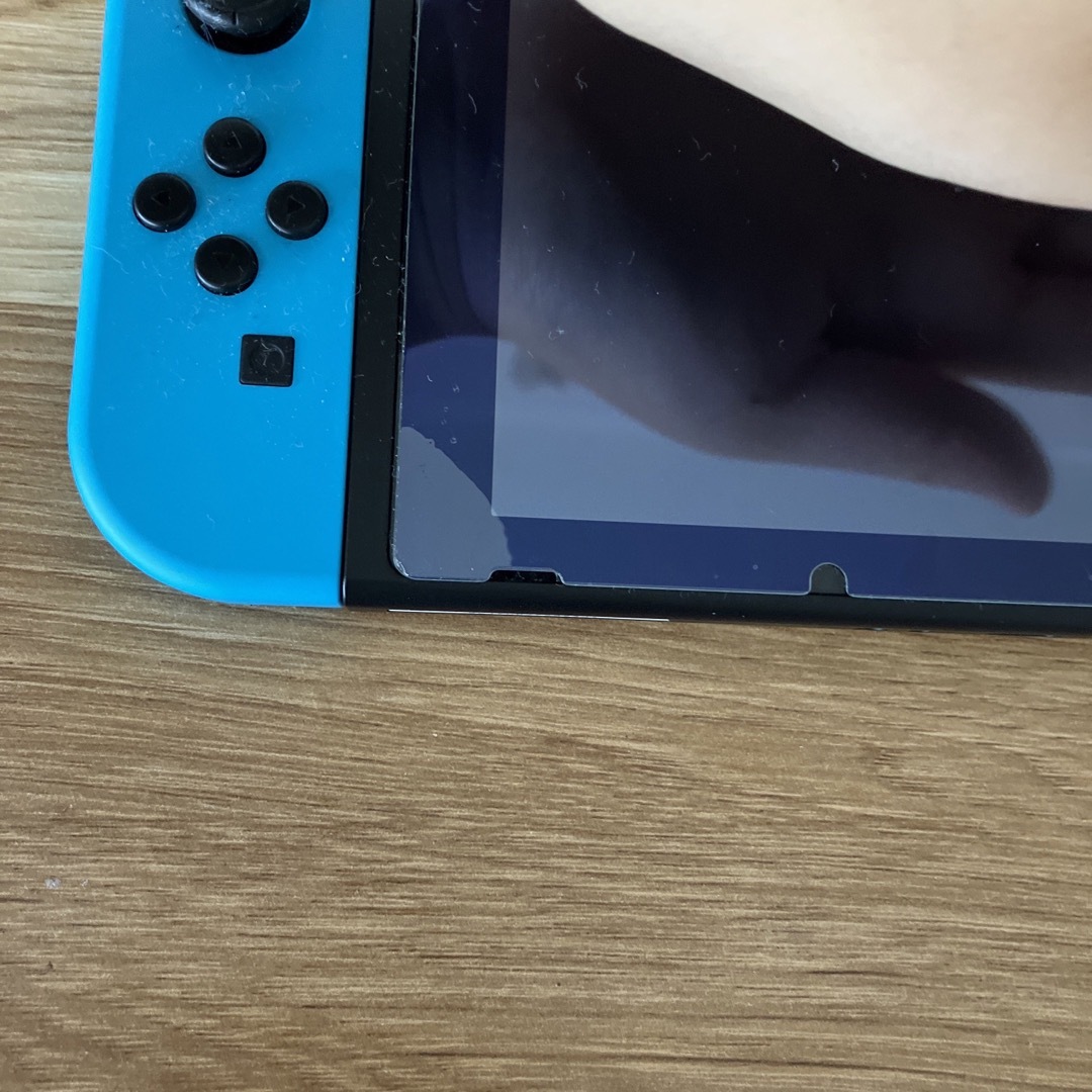 NINTENDO SWITCH HAD-S-KA ニンテンドースイッチ - www.sorbillomenu.com