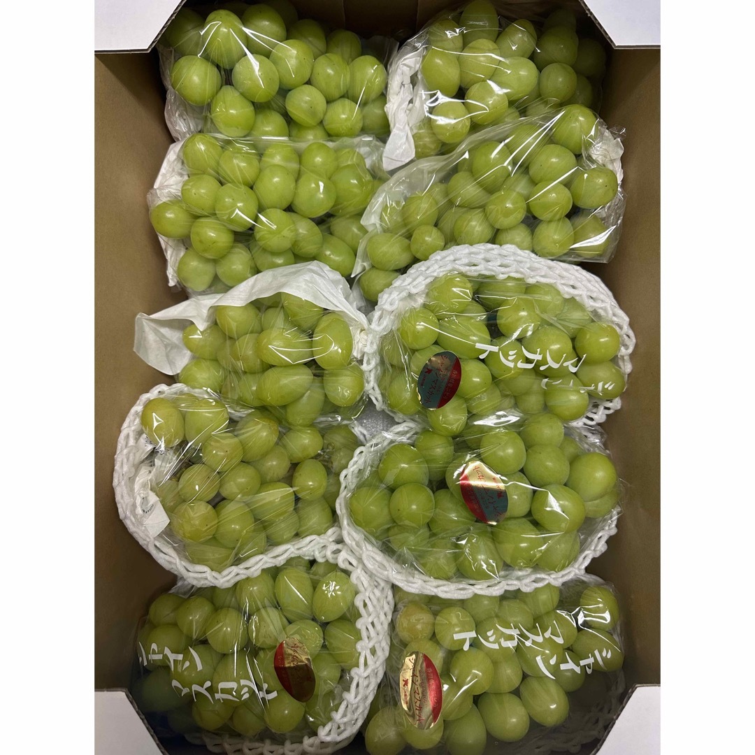 家庭用 シャインマスカット 約5kg 産地食べ比べ - フルーツ シャインマスカット 約5kg