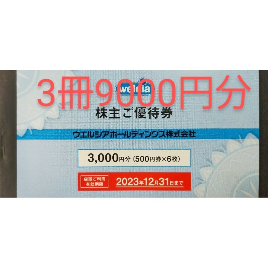 別格の高品質 3冊9000円分 ウエルシア 株主優待券 | president.gov.mt