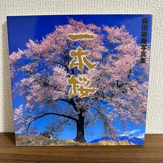 写真集　一本桜　森田敏隆　【サクラ・血脈桜・エドヒガン桜】(アート/エンタメ)