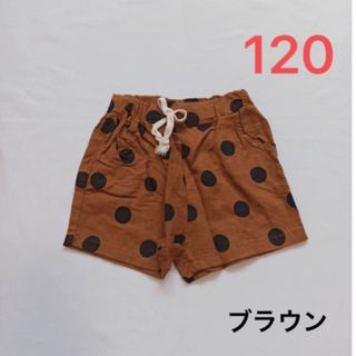 SALE 120cm キッズ ポルカドットショートパンツ ブラウン【356】(パンツ/スパッツ)