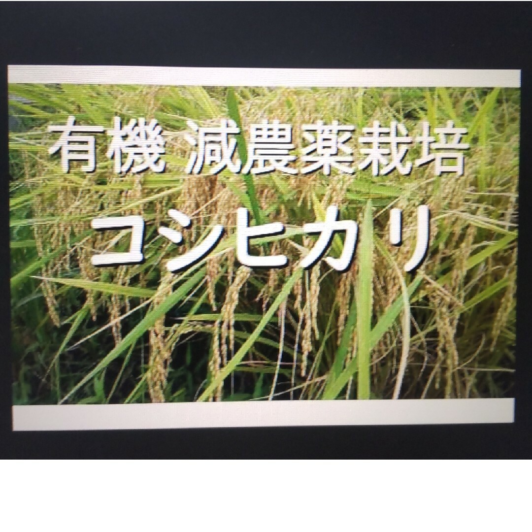 新米コシヒカリ福井県産の令和５年産　有機減農薬栽培　農家直送　玄米25kg　管理番号6-