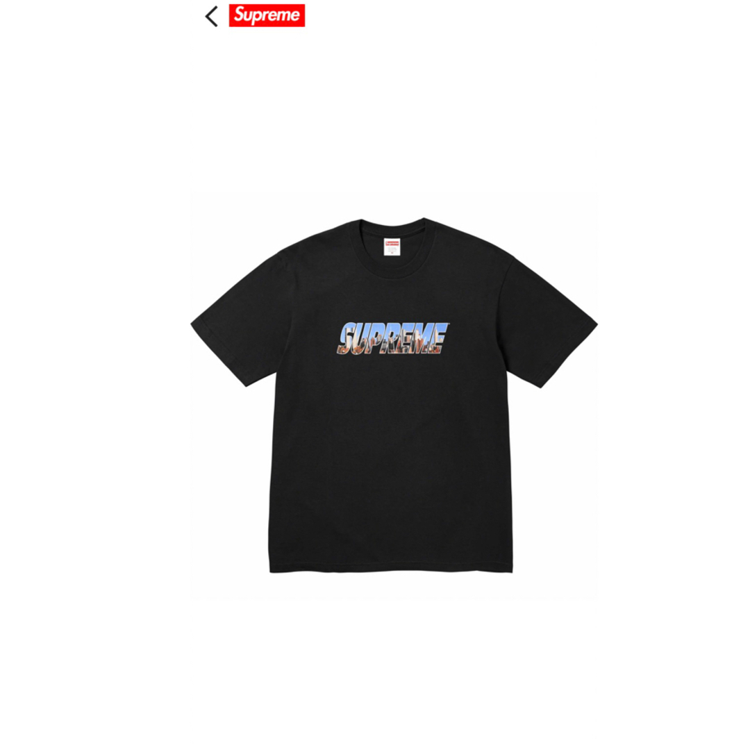 11000 円 新春福袋2023 Tee supreme Tee シュプリーム Gotham 宅配 T