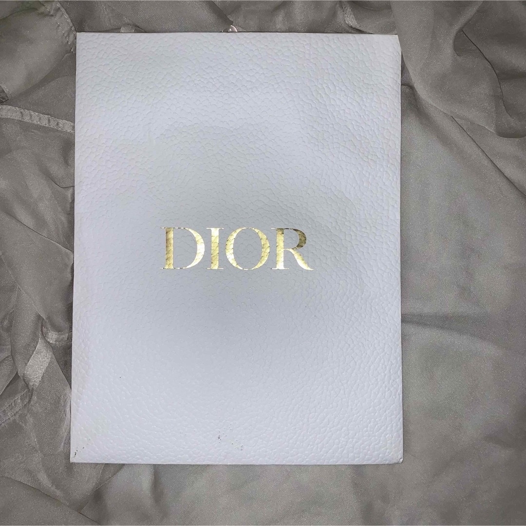 Dior(ディオール)のディオール　紙袋 レディースのバッグ(ショップ袋)の商品写真