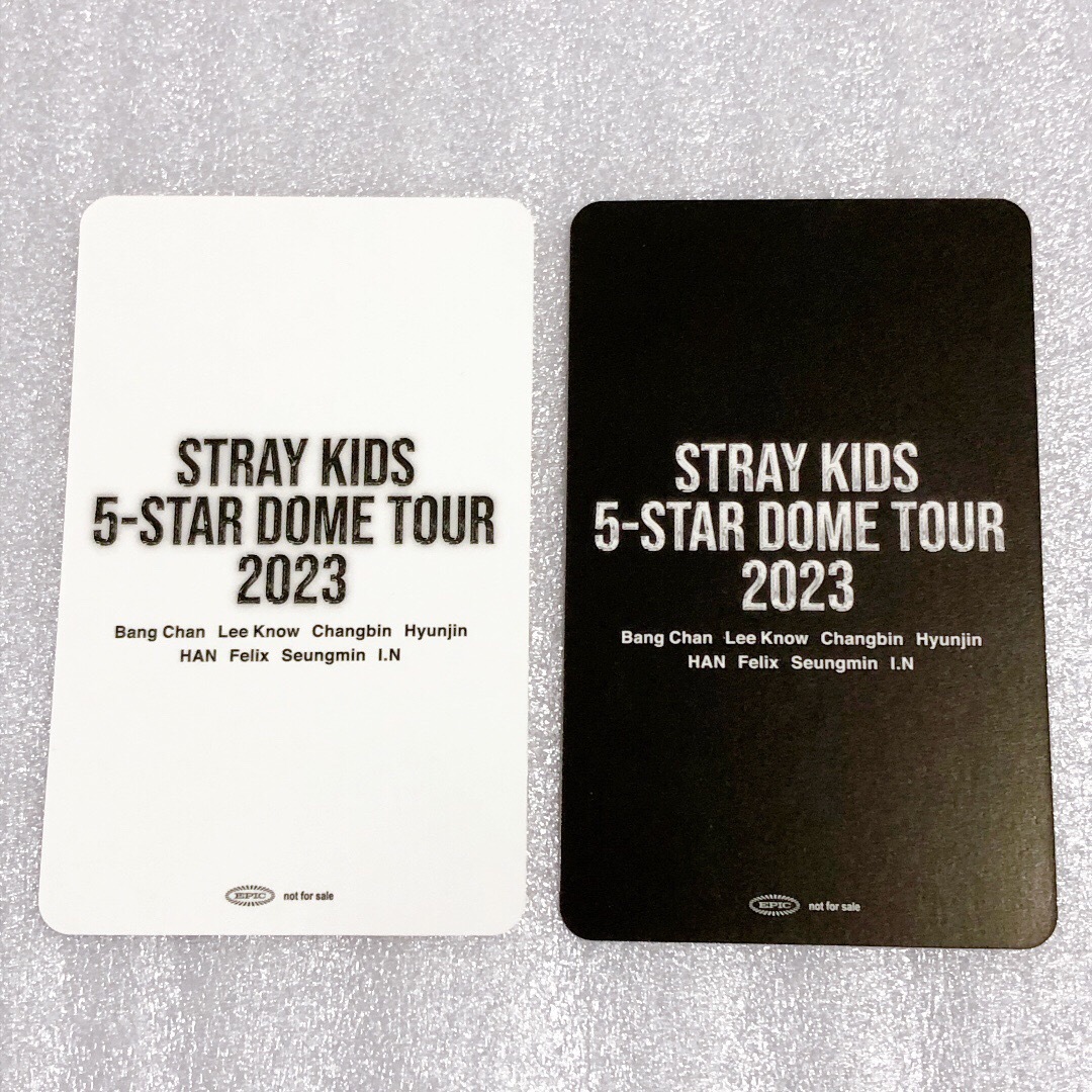 Stray Kids(ストレイキッズ)のチャンビン 特典 9/9.10 大阪 エンタメ/ホビーのタレントグッズ(アイドルグッズ)の商品写真