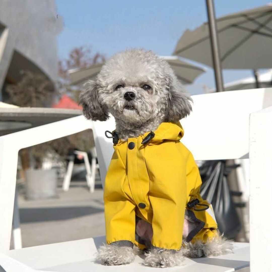 犬 レインコート 雨 小型犬 カッパ ポンチョ 雨具 防水 Mサイズ イエロー その他のペット用品(犬)の商品写真