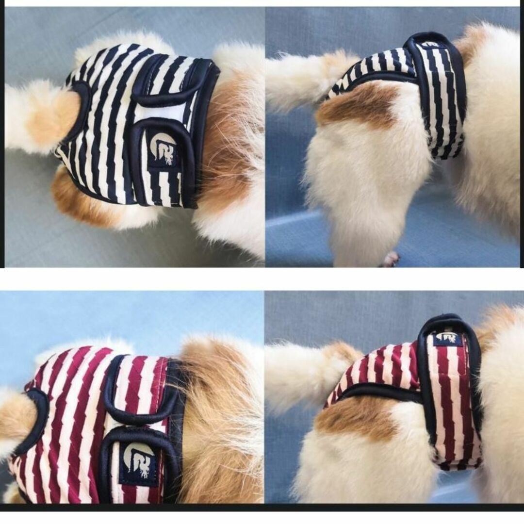 犬 サニタリーパンツ オムツ ヒート マナーパンツ 犬の服 レッド Sサイズ その他のペット用品(犬)の商品写真