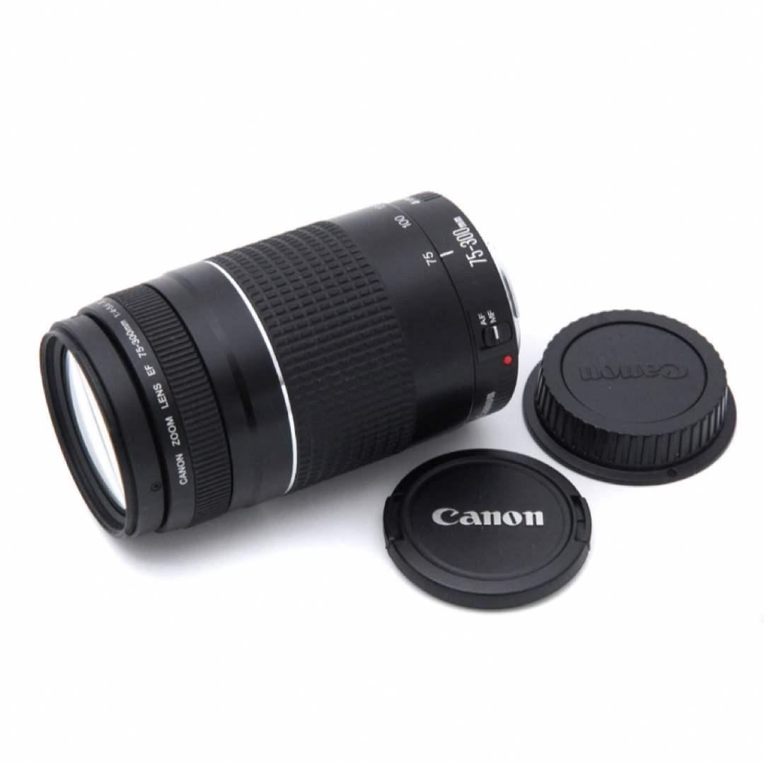 Canon - 極上品☆イベントなど☆迫力の300mm⭐︎Canon EF75-300IIIの