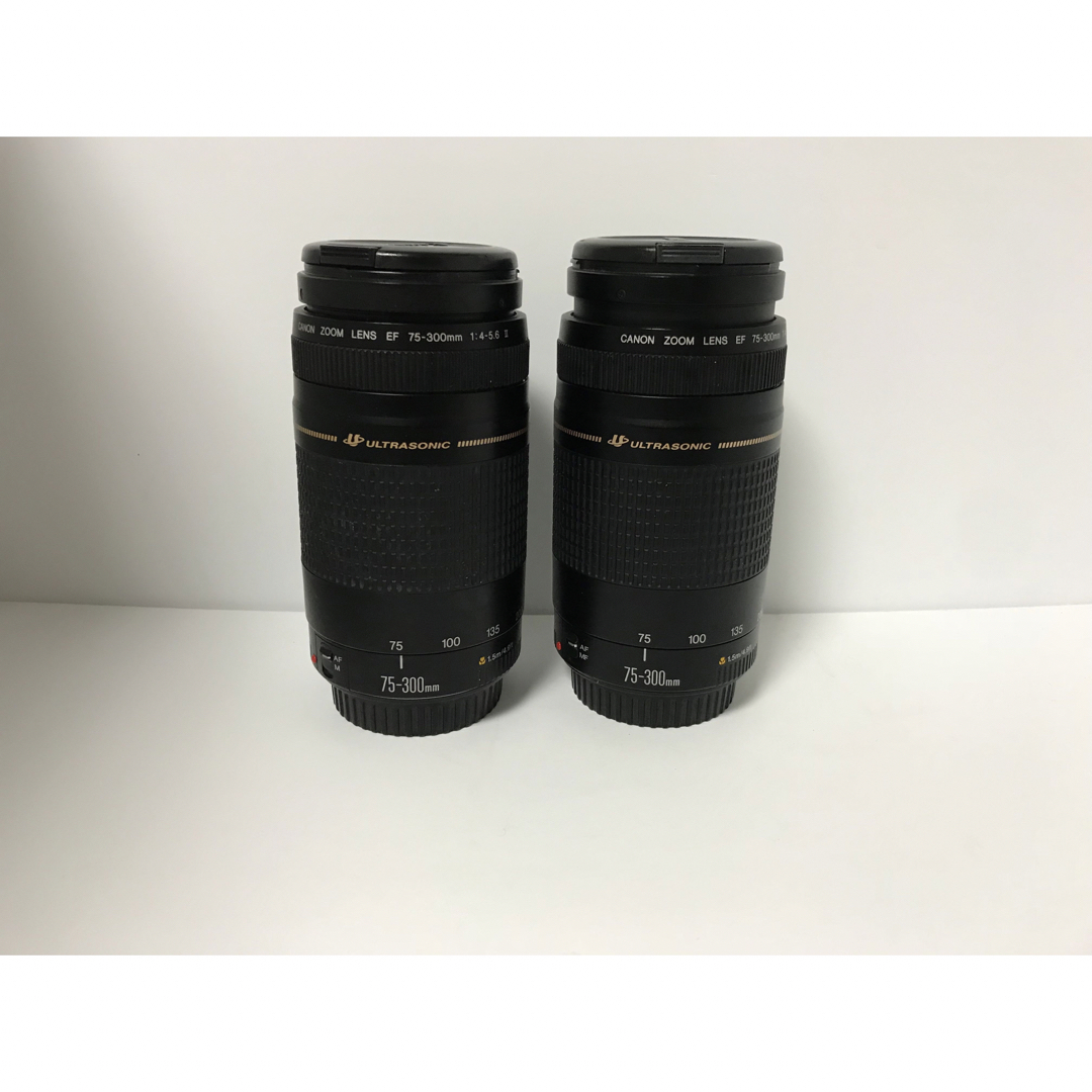 オススメ☆極上品☆迫力の300mm キヤノン　Canon EF75-300㎜