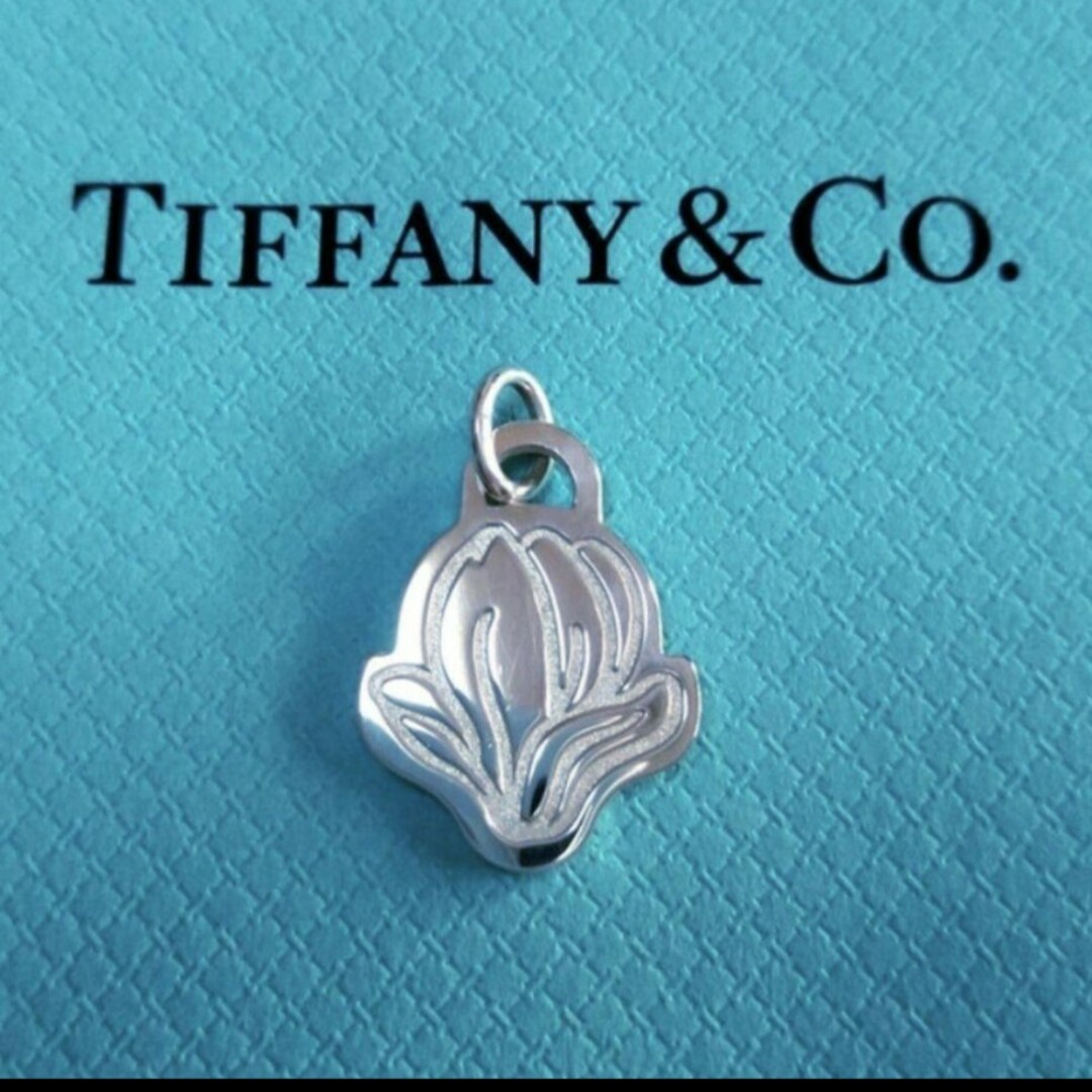 Tiffany & Co.(ティファニー)の美品✽未使用✽ティファニー✽マグノリアネックレストップと証明カード２枚付き レディースのアクセサリー(ネックレス)の商品写真