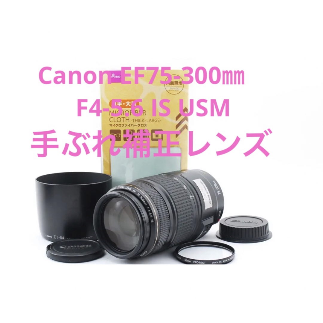 キヤノン☆フード付き☆人気の望遠レンズ Canon EF75-300㎜ - レンズ