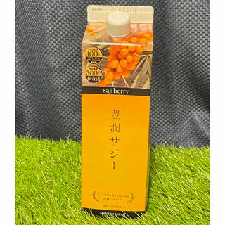 フィネス(Finess)の【フィネス】豊潤サジー 1000ml(ビタミン)