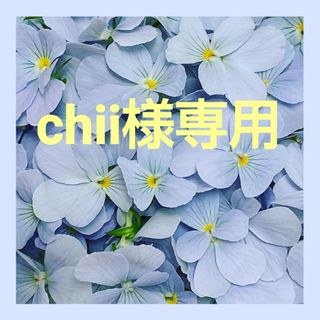 chii様専用(その他)