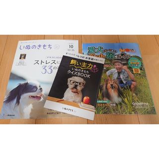 いぬのきもち 2013年10月号 最新号(犬)