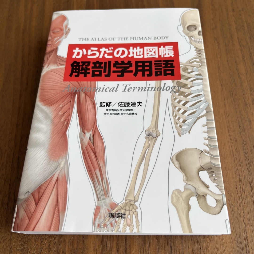 からだの地図帳 解剖学用語 エンタメ/ホビーの本(健康/医学)の商品写真