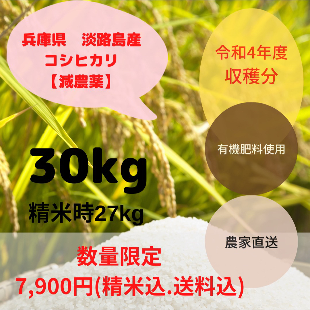 令和4年収穫分　コシヒカリ　白米　送料込