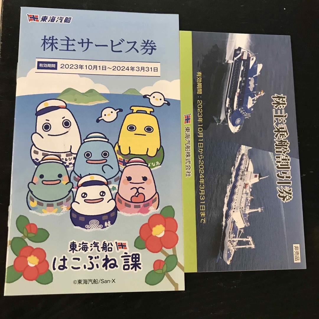 東海汽船株主優待券(1冊10枚綴り)の通販 by Rigeline|ラクマ