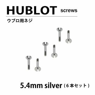 ウブロ(HUBLOT)の汎用 HUBLOT ウブロ 用 ネジ 5.4mm 6本セット シルバー(腕時計(アナログ))