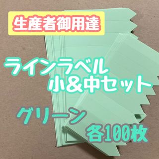 ラインラベル 小 中セット 緑 各100枚 園芸ラベル カラーラベル 多肉植物(プランター)