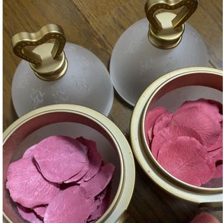 1点限り 未使用 6THアニバーサリー チーク オウム LADUREE