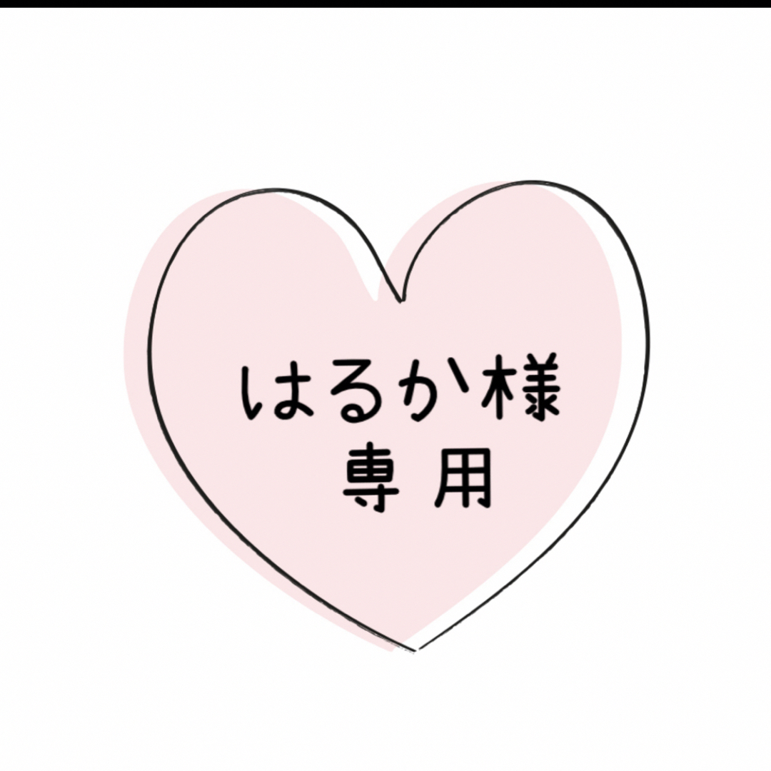 はるか様専用 ハンドメイドのぬいぐるみ/人形(その他)の商品写真