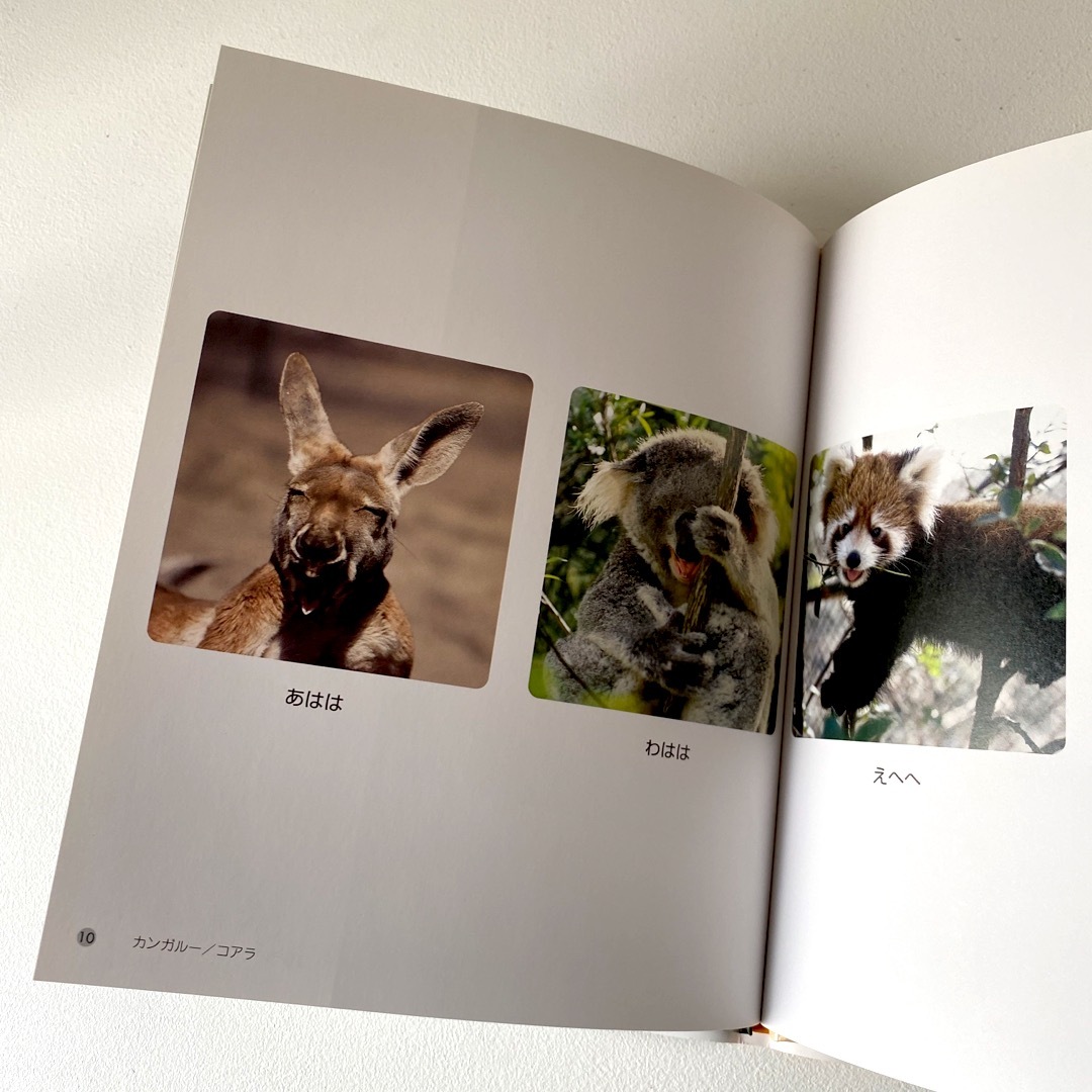 いいおかお　動物　絵本　リス　写真　自然 エンタメ/ホビーの本(絵本/児童書)の商品写真