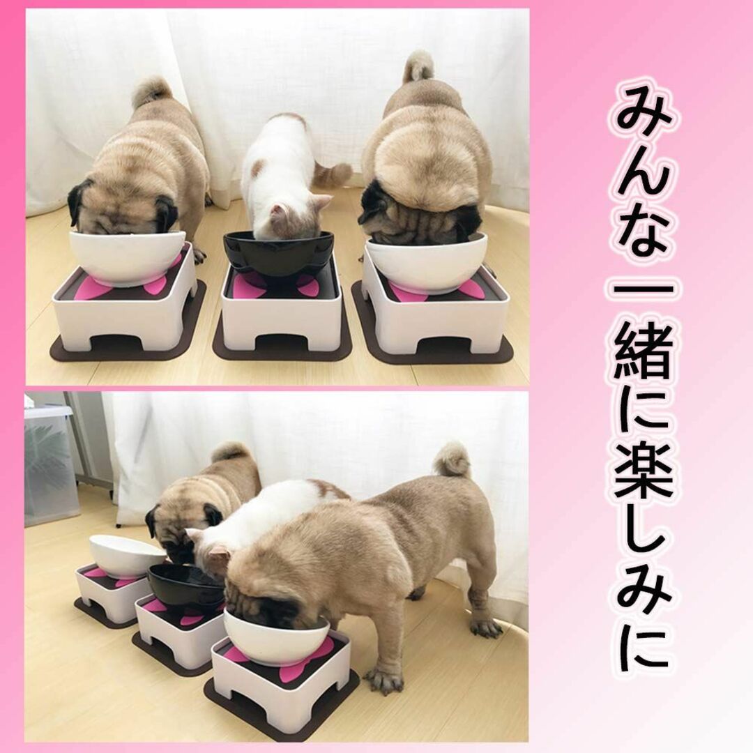 TAKIMI 犬 食器 陶器 犬用 食事 皿 いぬ フレンチブルドッグ 専用 フ