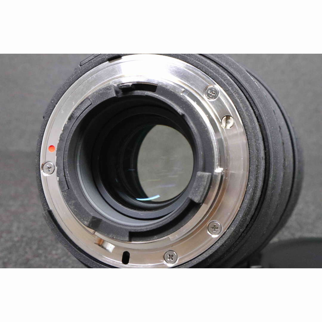 SIGMA - ✨安心保証✨SIGMA 24-70mm f/2.8 EX DG NIKONの通販 by