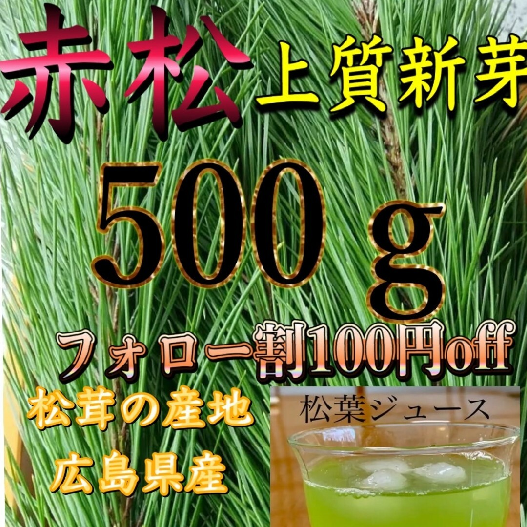 赤松 新芽松葉 生松葉 松の葉 赤松 500㌘  樹液たっぷり松葉茶松葉ジュース 食品/飲料/酒の食品(野菜)の商品写真