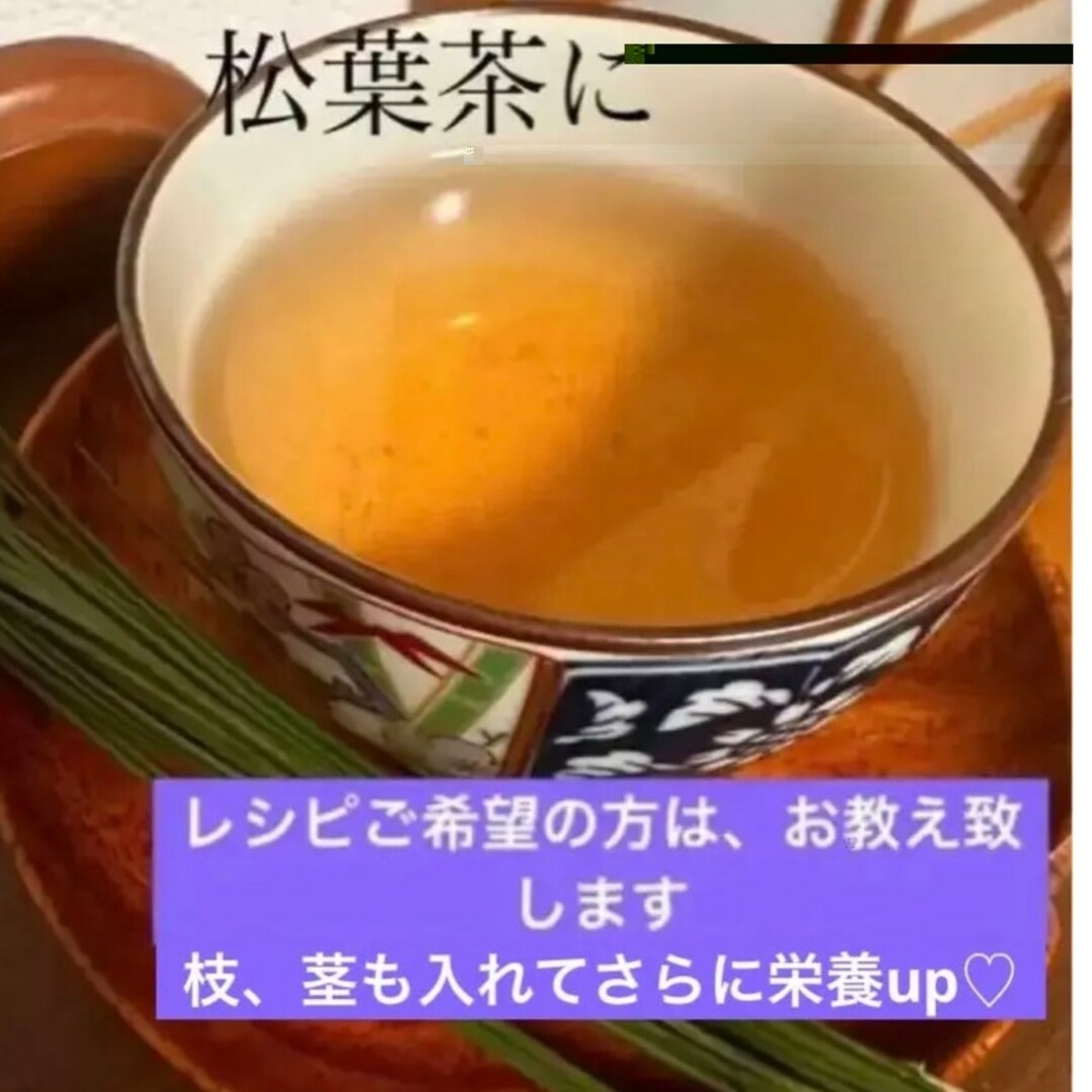 赤松 新芽松葉 生松葉 松の葉 赤松 500㌘  樹液たっぷり松葉茶松葉ジュース 食品/飲料/酒の食品(野菜)の商品写真