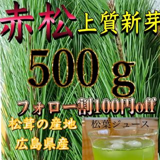 赤松 新芽松葉 生松葉 松の葉 赤松 500㌘  樹液たっぷり松葉茶松葉ジュース(野菜)