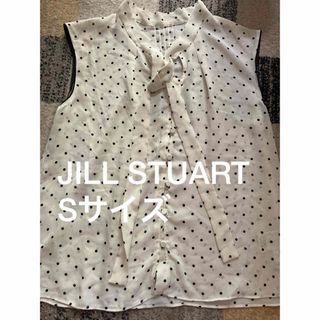 ジルスチュアート(JILLSTUART)のジルスチュアート　JILLSTUART ボウタイ　ドット柄ブラウス(シャツ/ブラウス(半袖/袖なし))