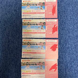 東京サマーランド　1Dayパス　2枚(遊園地/テーマパーク)