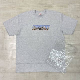 シュプリーム Tシャツ（グレー/灰色系）の通販 4,000点以上 | Supreme ...