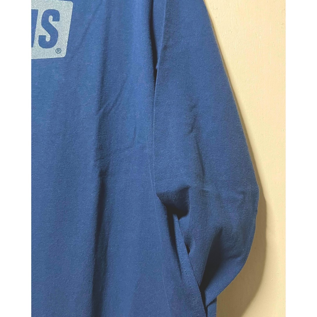 新品 CHUMS Logo Burushed ワンピース チャムス nal