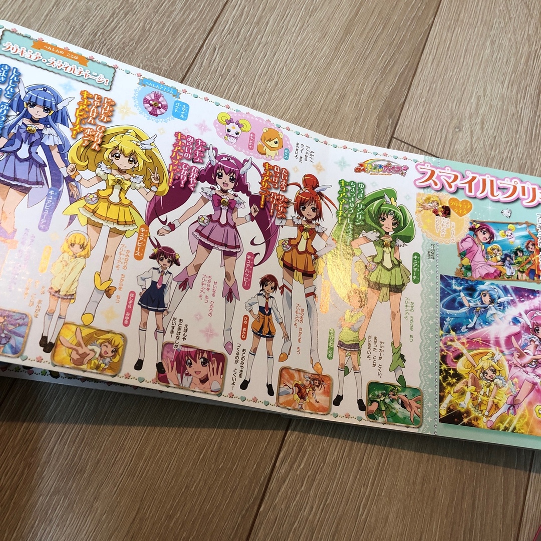 ひろちゃん様専用】プリキュアオールスターズまるごと大ずかんの通販