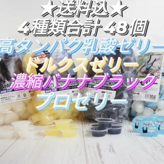 昆虫餌用ゼリー　プロゼリー　ドルクスゼリー含む売れ筋4種類　合計48個(虫類)