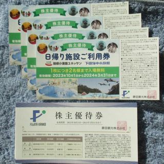 New☆藤田観光 日帰り施設利用券4枚＋株主優待券15枚 2024/3月末迄(遊園地/テーマパーク)