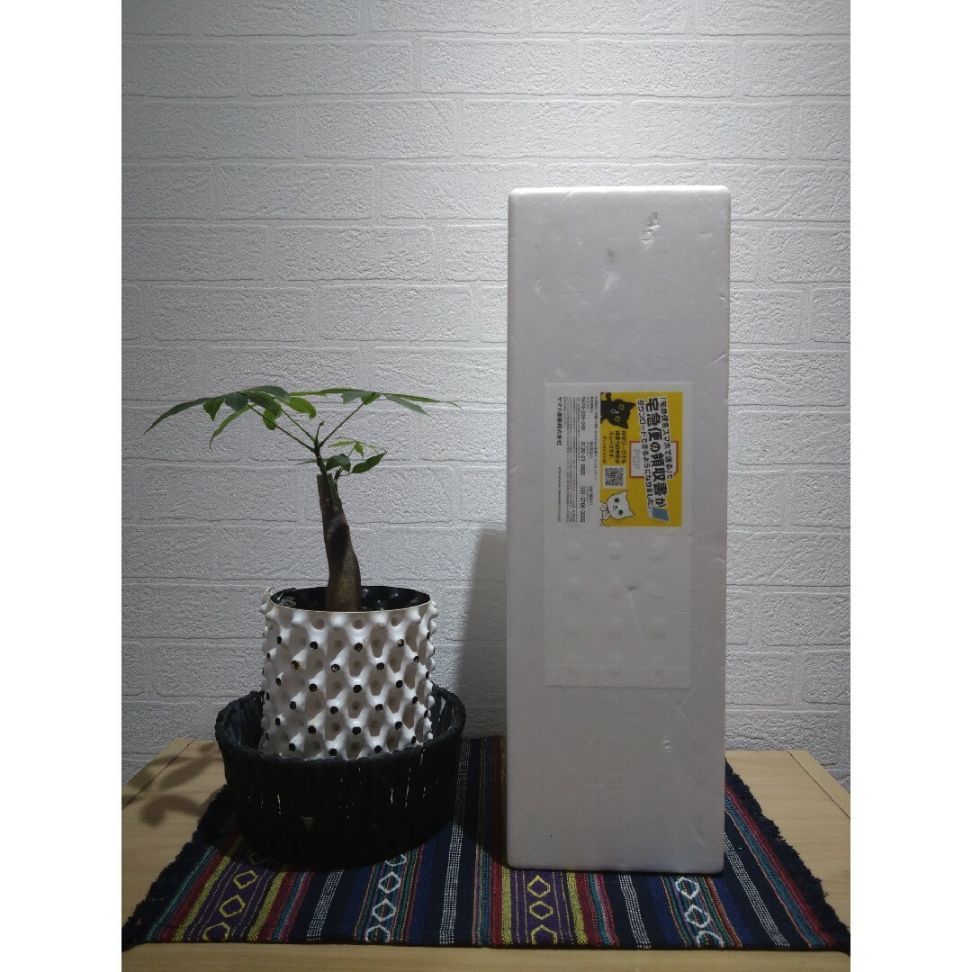 森伊蔵 ７月当選分 1800ml 未開封