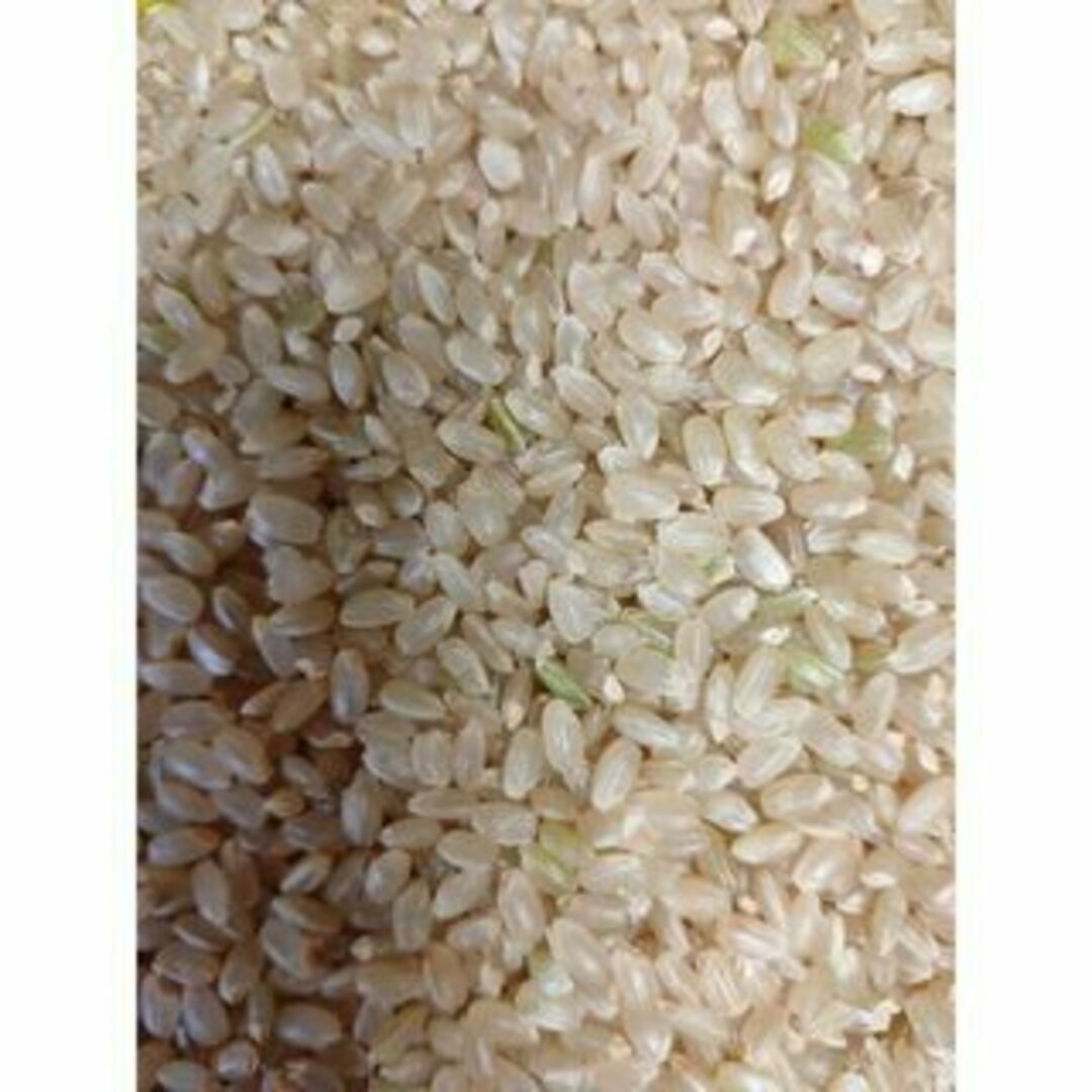 新米【湧き水栽培】農薬不使用玄米　20㎏　令和5年度　ひとめぼれ　奈良の農家直送-