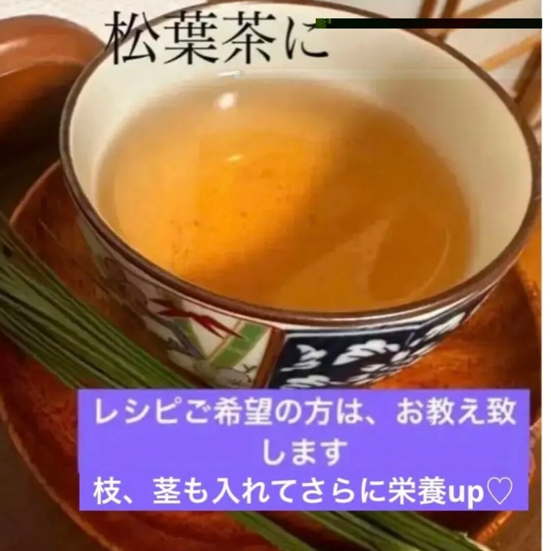 松葉 上質新芽 赤松 松の葉 生松葉 300㌘ 松葉茶、松葉ジュースなどに、新鮮 食品/飲料/酒の食品(野菜)の商品写真