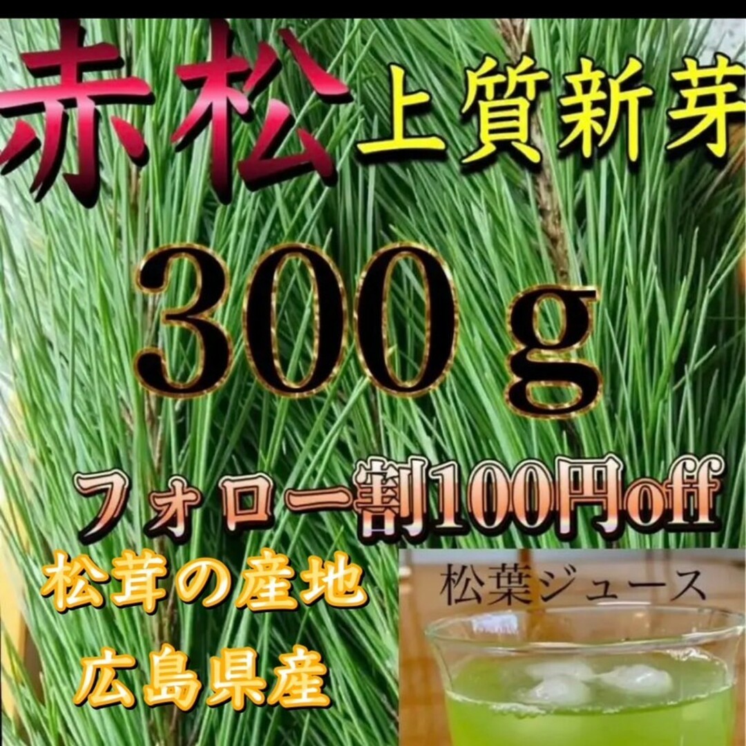 松葉 上質新芽 赤松 松の葉 生松葉 300㌘ 松葉茶、松葉ジュースなどに、新鮮 食品/飲料/酒の食品(野菜)の商品写真