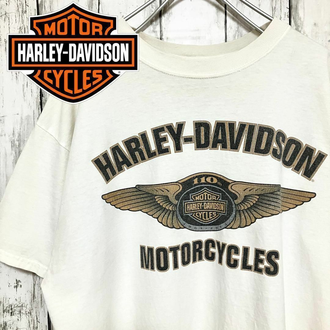 希少 ビンテージ HARLEY DAVIDSON ハーレーダビッドソン Tシャツ