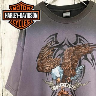 ハーレーダビッドソン バンドTシャツ Tシャツ・カットソー(メンズ)の