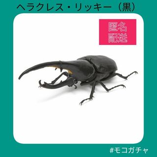 バンダイ(BANDAI)の【ヘラクレス・リッキー（黒）】いきもの大図鑑 かぶとむし02　ガチャ　ガシャポン(その他)