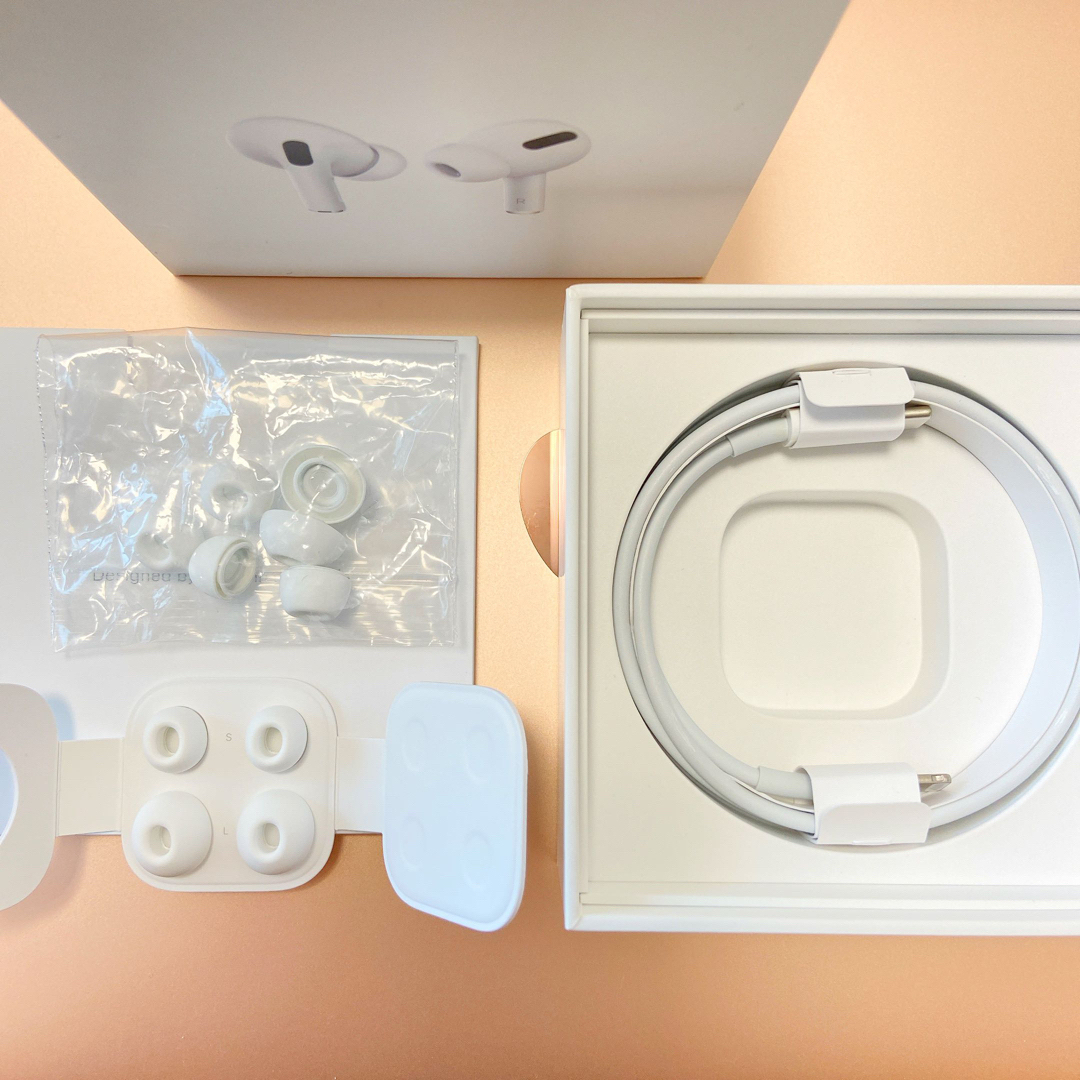 Apple - 【箱・イヤーチップ各サイズ2組等付属品あり】Apple AirPods