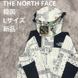 ザノースフェイス(THE NORTH FACE)のBOBOSU様⭐️THE NORTH FACE⭐️マウンテンジャケット L 白(ナイロンジャケット)