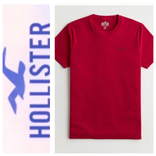ホリスター(Hollister)の◎S◎新品正規品◎ホリスター◎HOLLISTER ◎UネックT シャツ◎送料込(Tシャツ/カットソー(半袖/袖なし))
